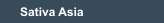 Sativa Asia